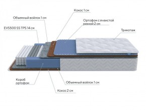 PROxSON Матрас Active Duo M/F (Ткань Трикотаж Эко) 140x195 в Ялуторовске - yalutorovsk.ok-mebel.com | фото 10