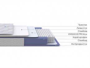 PROxSON Матрас Active Duo S/F (Ткань Трикотаж Эко) 160x195 в Ялуторовске - yalutorovsk.ok-mebel.com | фото