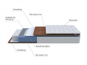 PROxSON Матрас Active F Roll (Ткань Трикотаж Эко) 120x200 в Ялуторовске - yalutorovsk.ok-mebel.com | фото 6