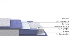 PROxSON Матрас Active F (Ткань Трикотаж Эко) 80x200 в Ялуторовске - yalutorovsk.ok-mebel.com | фото 2