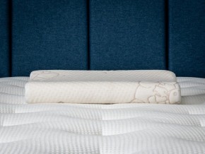 PROxSON Подушка Кроха (Ткань Трикотаж) 39x24 в Ялуторовске - yalutorovsk.ok-mebel.com | фото 6