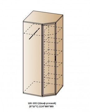 ШК-1011 (Шкаф угловой) в Ялуторовске - yalutorovsk.ok-mebel.com | фото