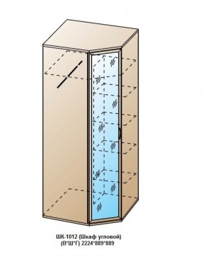 ШК-1012 (Шкаф угловой) в Ялуторовске - yalutorovsk.ok-mebel.com | фото