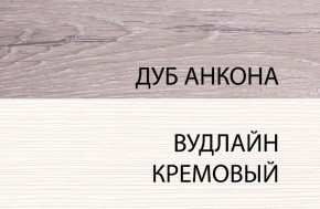 Шкаф 1DW, OLIVIA, цвет вудлайн крем/дуб анкона в Ялуторовске - yalutorovsk.ok-mebel.com | фото 3