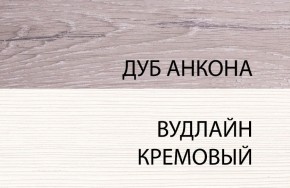 Шкаф 1DZ, OLIVIA, цвет вудлайн крем/дуб анкона в Ялуторовске - yalutorovsk.ok-mebel.com | фото 3