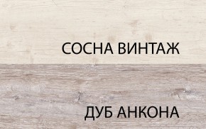 Шкаф 2D1S, MONAKO, цвет Сосна винтаж/дуб анкона в Ялуторовске - yalutorovsk.ok-mebel.com | фото 1