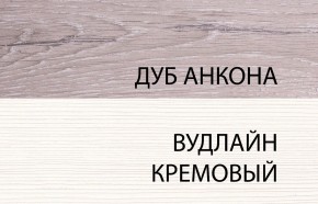 Шкаф 2DG, OLIVIA, цвет вудлайн крем/дуб анкона в Ялуторовске - yalutorovsk.ok-mebel.com | фото 3