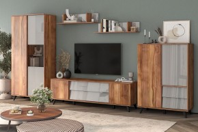Шкаф комбинированный Онтарио 474.06 в Ялуторовске - yalutorovsk.ok-mebel.com | фото 5