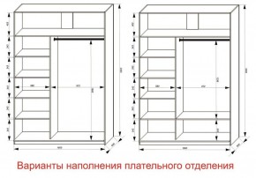 Шкаф-купе 1600 серии SOFT D1+D3+B2+PL1 (2 ящика+1штанга) профиль «Графит» в Ялуторовске - yalutorovsk.ok-mebel.com | фото 6