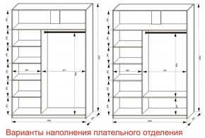 Шкаф-купе 1600 серии SOFT D6+D4+B2+PL2 (2 ящика+1штанга+1 полка) профиль «Капучино» в Ялуторовске - yalutorovsk.ok-mebel.com | фото 8