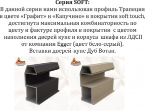 Шкаф-купе 1800 серии SOFT D1+D3+B2+PL1 (2 ящика+1штанга) профиль «Графит» в Ялуторовске - yalutorovsk.ok-mebel.com | фото 11