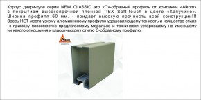 Шкаф-купе 2150 серии NEW CLASSIC K6Z+K1+K6+B22+PL1 (по 2 ящика лев/прав+1 штанга) профиль «Капучино» в Ялуторовске - yalutorovsk.ok-mebel.com | фото 17