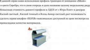 Шкаф-купе 2250 серии SILVER S3+S1+S4 B22+PL3 (по 2 ящика лев/прав+2 штанги) профиль «Серебро» в Ялуторовске - yalutorovsk.ok-mebel.com | фото 4