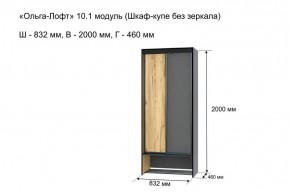 Шкаф купе без зеркала "Ольга-Лофт 10.1" в Ялуторовске - yalutorovsk.ok-mebel.com | фото 3