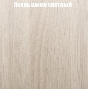 Шкаф-купе «ТАНДЕМ» 2-х дверный в алюминиевом профиле (Дверь К+К) 1600/h2200 в Ялуторовске - yalutorovsk.ok-mebel.com | фото 6