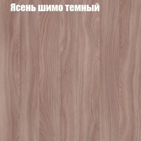 Шкаф-купе «ТАНДЕМ» 2-х дверный в алюминиевом профиле (Дверь К+К) 1600/h2200 в Ялуторовске - yalutorovsk.ok-mebel.com | фото 7