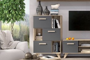 Шкаф низкий с нишами Вега Скандинавия в Ялуторовске - yalutorovsk.ok-mebel.com | фото 6