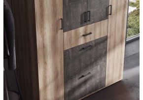 Шкаф платяной Паркинс в Ялуторовске - yalutorovsk.ok-mebel.com | фото 3