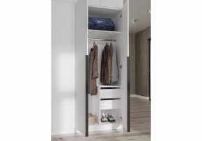 Шкаф платяной Широн в Ялуторовске - yalutorovsk.ok-mebel.com | фото 3