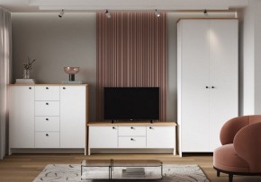 Шкаф платяной Теодора в Ялуторовске - yalutorovsk.ok-mebel.com | фото 4