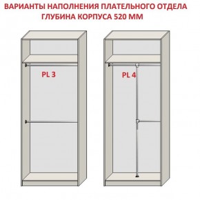 Шкаф распашной серия «ЗЕВС» (PL3/С1/PL2) в Ялуторовске - yalutorovsk.ok-mebel.com | фото 10