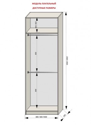 Шкаф распашной серия «ЗЕВС» (PL3/С1/PL2) в Ялуторовске - yalutorovsk.ok-mebel.com | фото 12