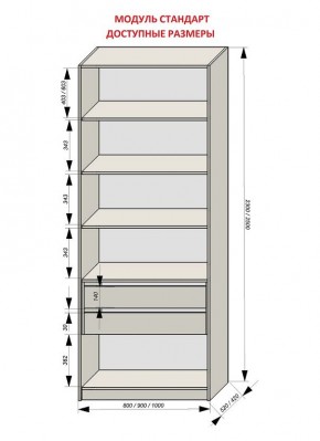 Шкаф распашной серия «ЗЕВС» (PL3/С1/PL2) в Ялуторовске - yalutorovsk.ok-mebel.com | фото 13