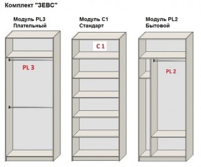 Шкаф распашной серия «ЗЕВС» (PL3/С1/PL2) в Ялуторовске - yalutorovsk.ok-mebel.com | фото 2