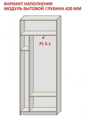 Шкаф распашной серия «ЗЕВС» (PL3/С1/PL2) в Ялуторовске - yalutorovsk.ok-mebel.com | фото 4