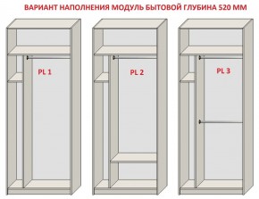 Шкаф распашной серия «ЗЕВС» (PL3/С1/PL2) в Ялуторовске - yalutorovsk.ok-mebel.com | фото 5