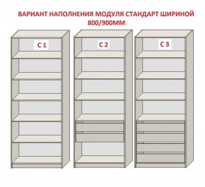 Шкаф распашной серия «ЗЕВС» (PL3/С1/PL2) в Ялуторовске - yalutorovsk.ok-mebel.com | фото 6