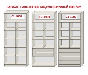 Шкаф распашной серия «ЗЕВС» (PL3/С1/PL2) в Ялуторовске - yalutorovsk.ok-mebel.com | фото 7