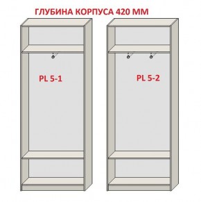 Шкаф распашной серия «ЗЕВС» (PL3/С1/PL2) в Ялуторовске - yalutorovsk.ok-mebel.com | фото 8