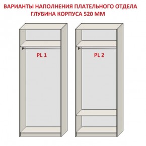 Шкаф распашной серия «ЗЕВС» (PL3/С1/PL2) в Ялуторовске - yalutorovsk.ok-mebel.com | фото 9