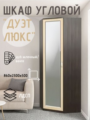 Шкаф угловой Дуэт Люкс с зеркалом в Ялуторовске - yalutorovsk.ok-mebel.com | фото 5