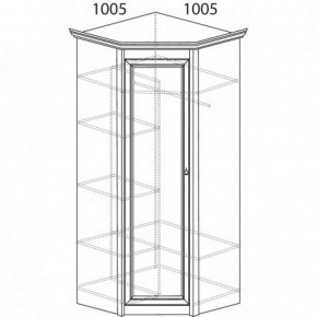 Шкаф угловой №662 "Флоренция" Фасад глухой (угол 1005*1005) Дуб оксфорд в Ялуторовске - yalutorovsk.ok-mebel.com | фото 3