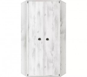 Шкаф угловой JSZFN 2d (МС Индиана) сосна каньон в Ялуторовске - yalutorovsk.ok-mebel.com | фото