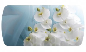 Стол Бостон-3 (Белая Орхидея) 1100/1420*700, опора Брифинг в Ялуторовске - yalutorovsk.ok-mebel.com | фото 2