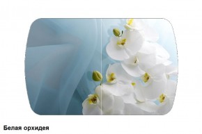 Стол Бостон 900*600 (опоры Брифинг) Стекло/фотопечать Белая Орхидея в Ялуторовске - yalutorovsk.ok-mebel.com | фото