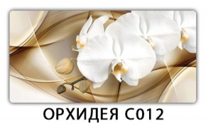 Стол раздвижной Трилогия с фотопечатью Орхидея C013 в Ялуторовске - yalutorovsk.ok-mebel.com | фото 12