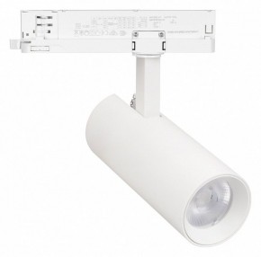 Светильник на штанге Arlight GERA 055050 в Ялуторовске - yalutorovsk.ok-mebel.com | фото