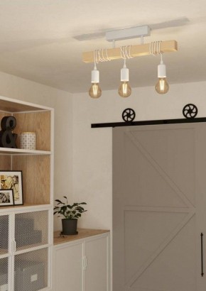 Светильник на штанге Eglo TOWNSHEND 44082 в Ялуторовске - yalutorovsk.ok-mebel.com | фото 2
