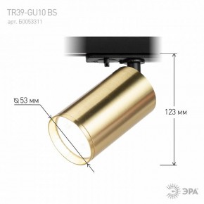 Светильник на штанге Эра  TR39-GU10 BS в Ялуторовске - yalutorovsk.ok-mebel.com | фото 6