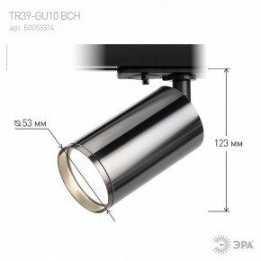 Светильник на штанге Эра  TR39-GU10 ВСН в Ялуторовске - yalutorovsk.ok-mebel.com | фото 7