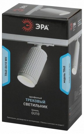 Светильник на штанге Эра  TR40-GU10 WH в Ялуторовске - yalutorovsk.ok-mebel.com | фото 7