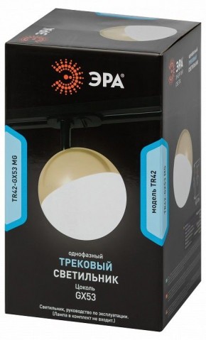 Светильник на штанге Эра  TR42-GX53 MG в Ялуторовске - yalutorovsk.ok-mebel.com | фото 6