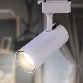 Светильник на штанге Эра  TR5-10 COB WH в Ялуторовске - yalutorovsk.ok-mebel.com | фото 3