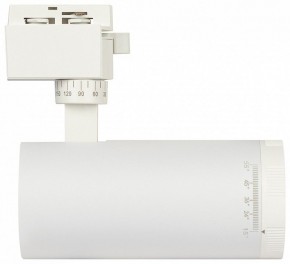 Светильник на штанге Эра  TR59 - 2040 WH в Ялуторовске - yalutorovsk.ok-mebel.com | фото 4