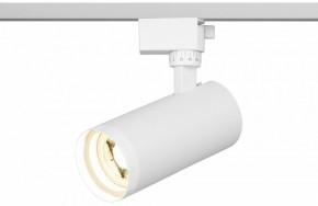 Светильник на штанге Эра  TR59 - 2040 WH в Ялуторовске - yalutorovsk.ok-mebel.com | фото 5