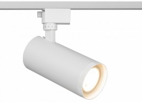 Светильник на штанге Эра  TR59 - 3030 WH в Ялуторовске - yalutorovsk.ok-mebel.com | фото